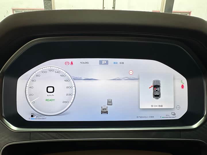 Tank 700 Hybrid 2024 2024款 Hi4-T 极致版