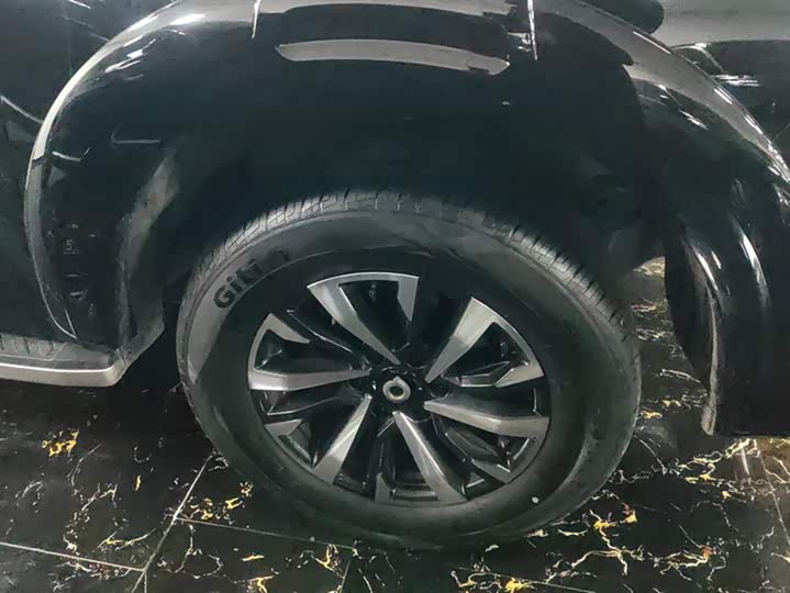 Great Wall Pao 2024 2024款 2.4T乘用版自动柴油四驱舒适型