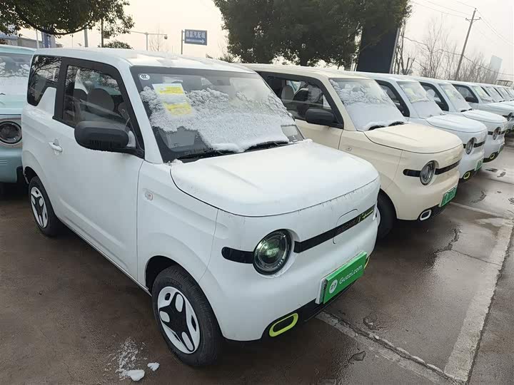 Geely Galaxy Panda Mini 2025 2025款 熊猫mini 210km 元气熊