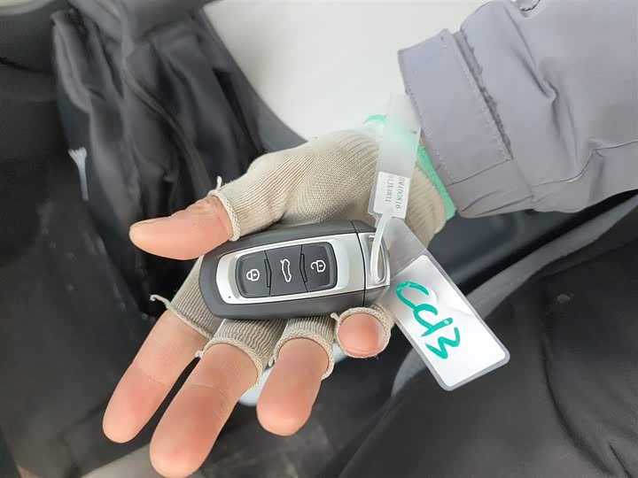 Geely Galaxy Panda Mini 2025 2025款 熊猫mini 210km 元气熊