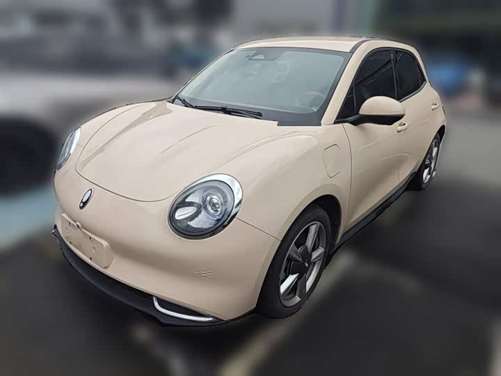 Ora Good Cat (03) 2023 2023款 401km标准续航 豪华型 磷酸铁锂