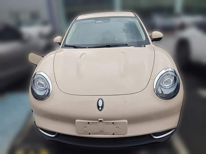 Ora Good Cat (03) 2023 2023款 401km标准续航 豪华型 磷酸铁锂