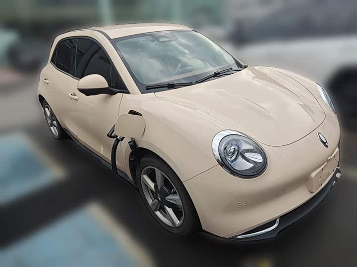 Ora Good Cat (03) 2023 2023款 401km标准续航 豪华型 磷酸铁锂