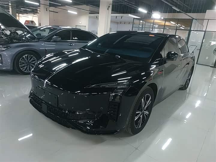 Hongqi EH7 2024 2024款 690 Pro