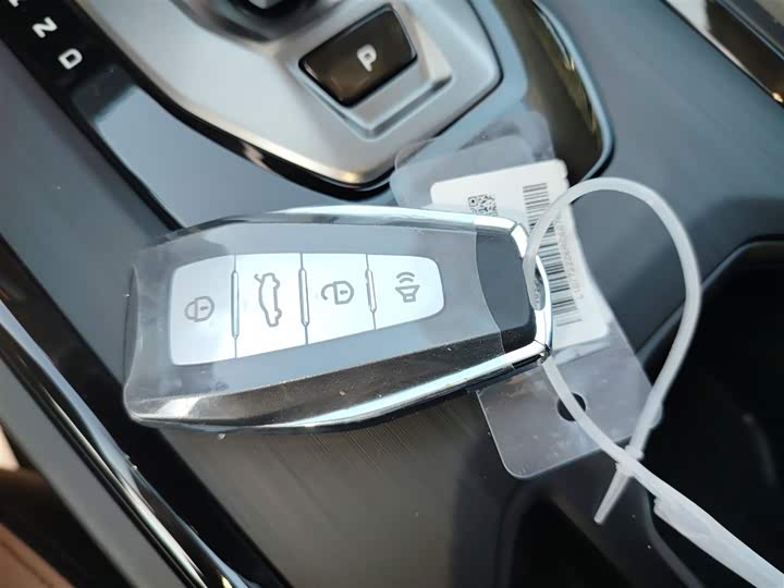 Geely Okavango Pro 2024 2024款 1.5T DCT 纵横+