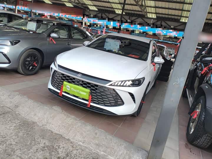 BYD Qin Plus 2025 2025款 DM-i 智驾版 55KM领先型