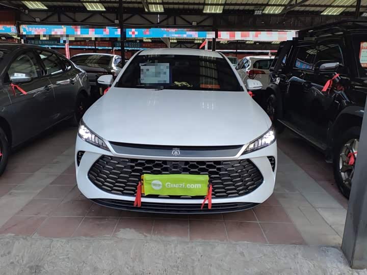 BYD Qin Plus 2025 2025款 DM-i 智驾版 55KM领先型