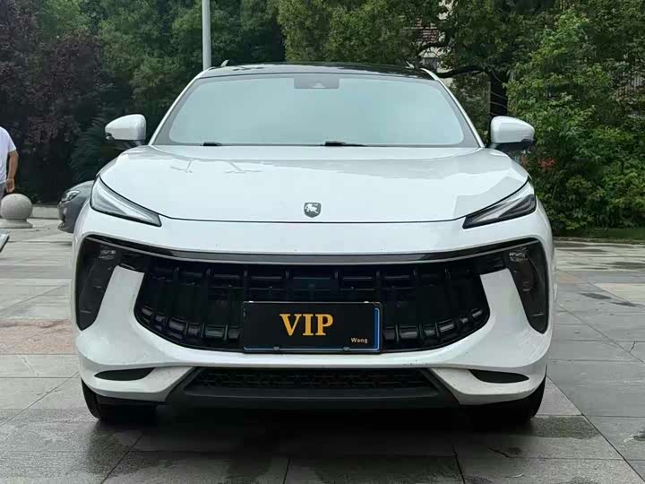 Dongfeng Forthing T5 2021 2021款 1.5T 自动豪华型