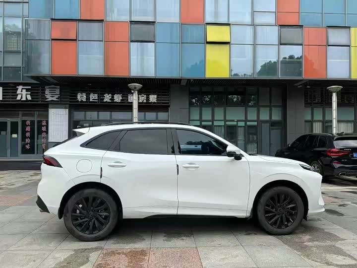 Dongfeng Forthing T5 2021 2021款 1.5T 自动豪华型