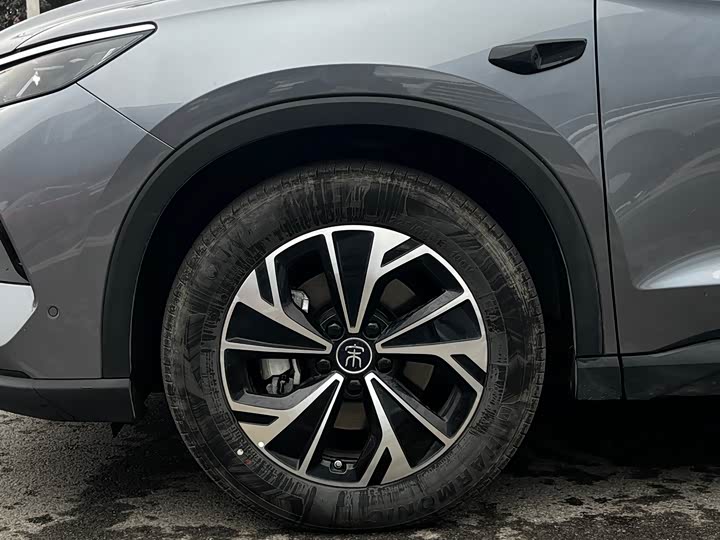 BYD Song Pro Hybrid 2025 2025款 第二代 智驾版 DM-i 115KM超越型