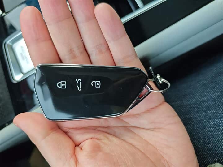 Volkswagen Teramont Pro 2024 2024款 380TSI 四驱龙祥版