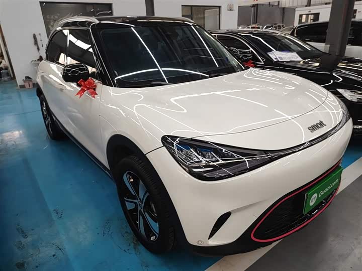 Smart #1 2024 2024款 灵动标准版