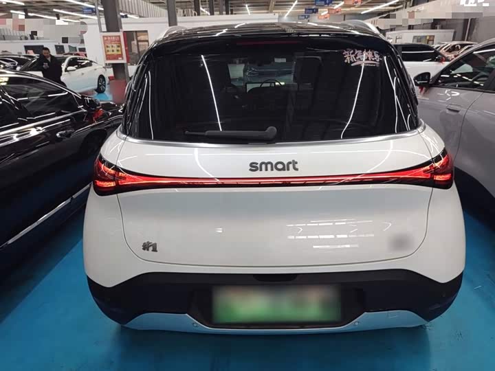 Smart #1 2024 2024款 灵动标准版