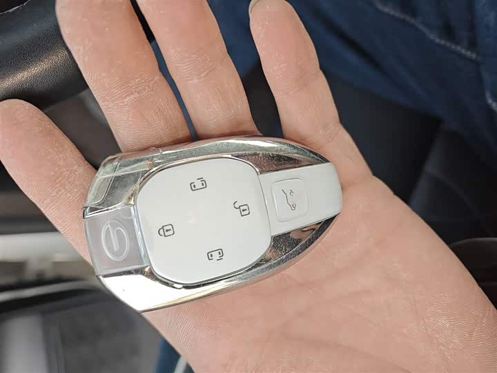 GAC Trumpchi M8 2024 2024款 大师系列 400T 至尊版