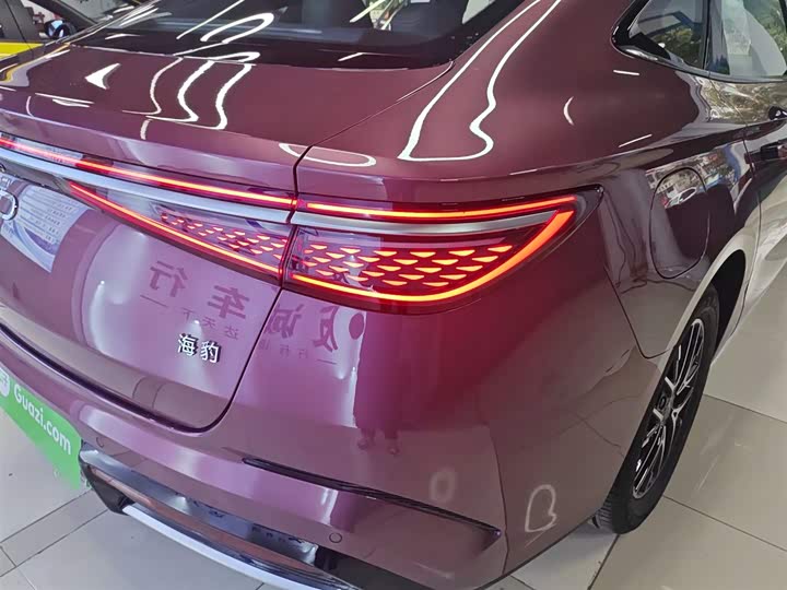 BYD Seal 2024 2024款 荣耀版 DM-i 1.5L 121km 精英型