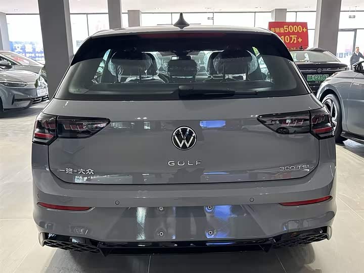 Volkswagen Golf 2025 2025款 300TSI R-Line