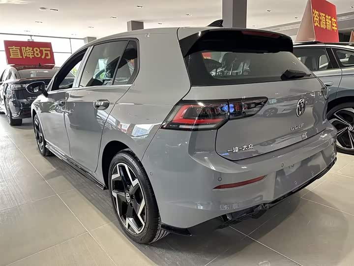 Volkswagen Golf 2025 2025款 300TSI R-Line