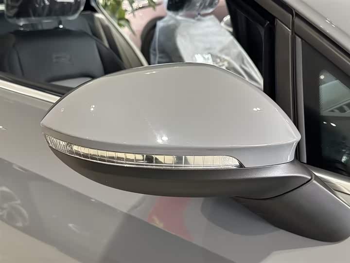 Volkswagen Golf 2025 2025款 300TSI R-Line