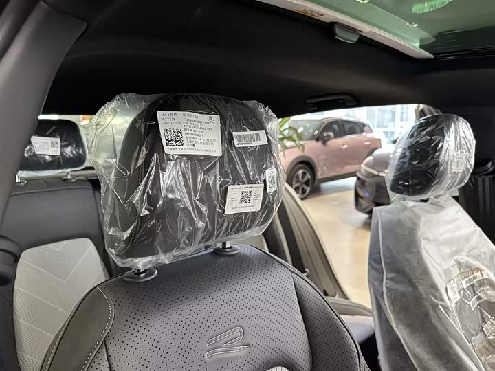 Volkswagen Golf 2025 2025款 300TSI R-Line