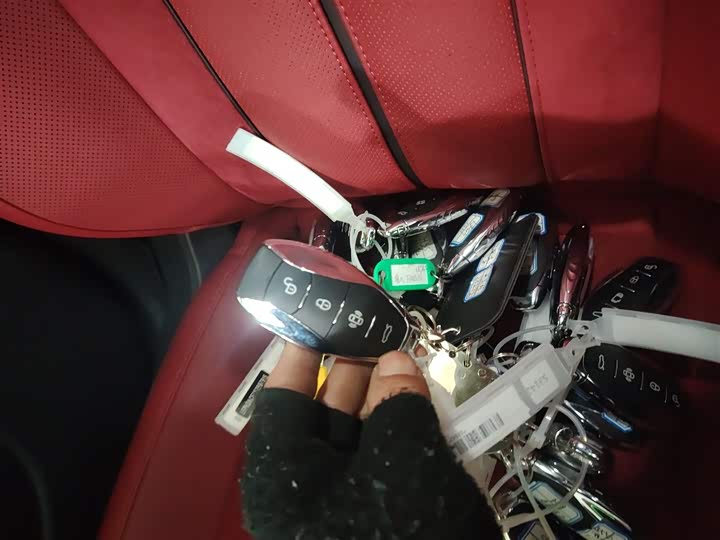 Hongqi H6 2025 2025款 2.0T 致尚版