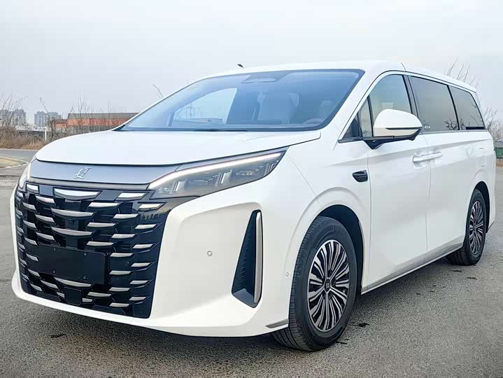 BYD Xia 2025 2025款 DM-i 1.5T 100km 超越型