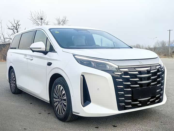 BYD Xia 2025 2025款 DM-i 1.5T 100km 超越型