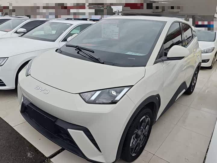 BYD Seagull 2025 2025款 305km 自由版