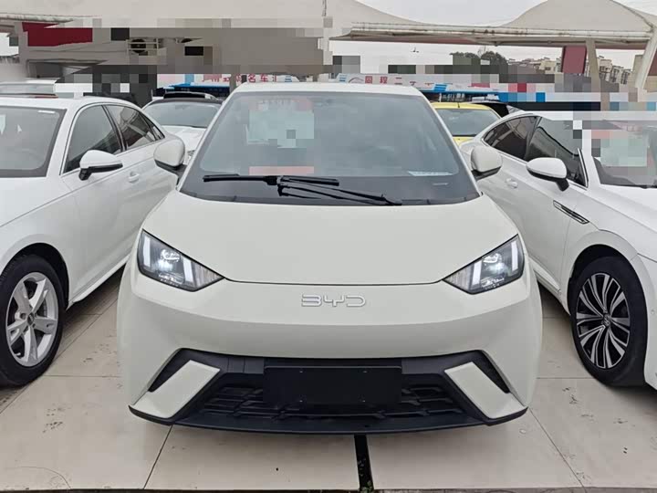 BYD Seagull 2025 2025款 305km 自由版