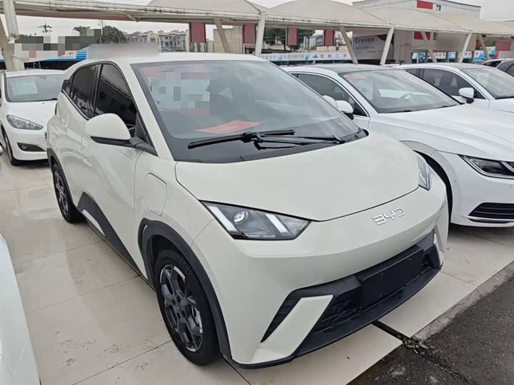 BYD Seagull 2025 2025款 305km 自由版