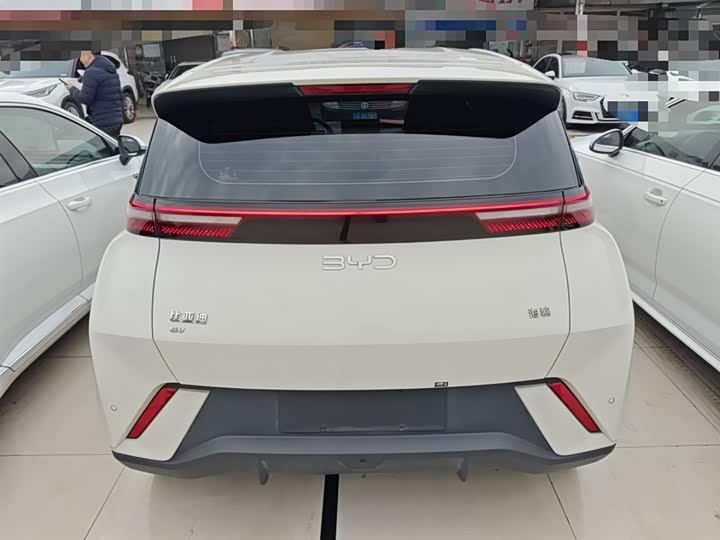 BYD Seagull 2025 2025款 305km 自由版