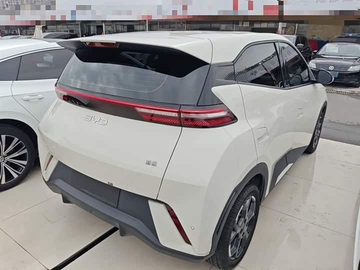 BYD Seagull 2025 2025款 305km 自由版