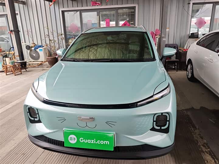 Geely Geometry E Firefly 2024 2024款 301km 星光