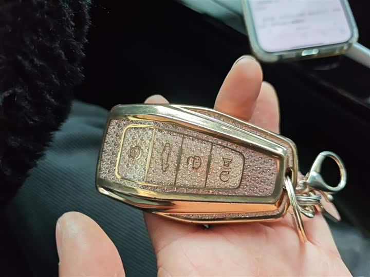 Geely Geometry E Firefly 2024 2024款 301km 星光