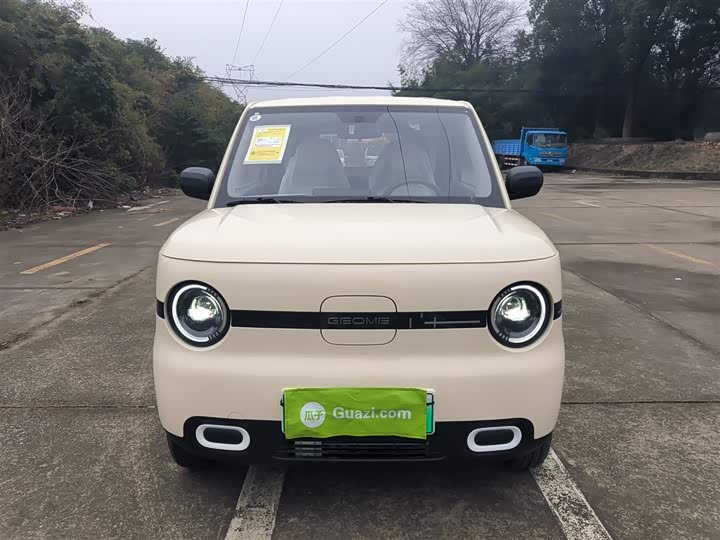 2025 Geely Galaxy Panda Mini