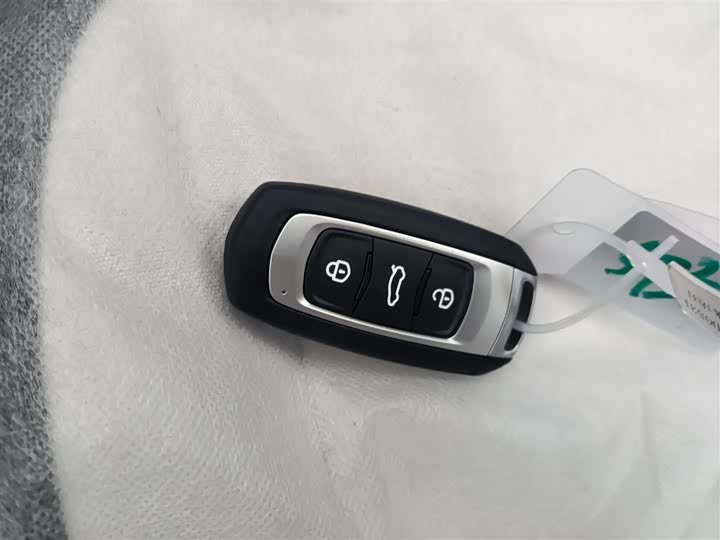 Geely Galaxy Panda Mini 2025 2025款 熊猫mini 210km 元气熊