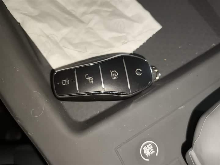 BYD Qin Plus 2025 2025款 DM-i 智驾版 55KM领先型