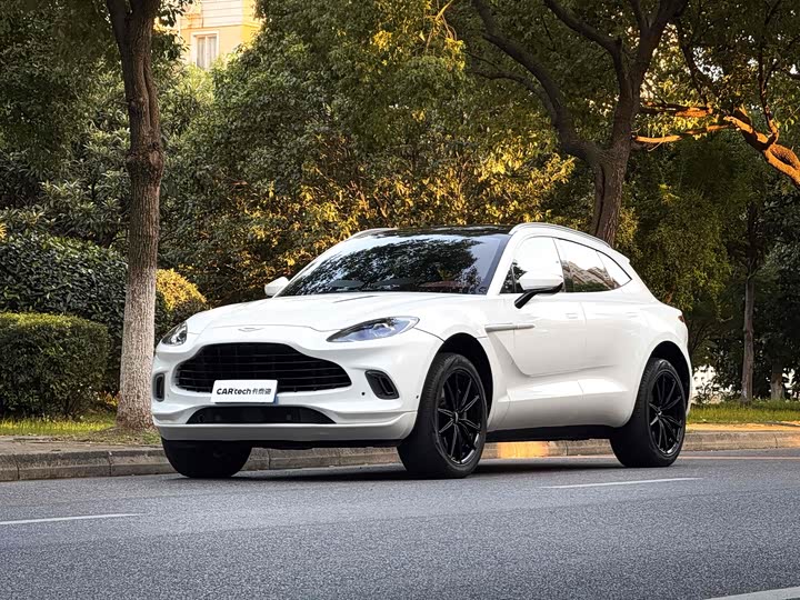 Aston Martin DBX 2023 2023款 3.0T STRAIGHT-SIX