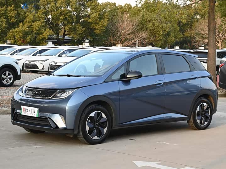 2025 BYD Dolphin