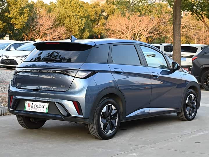 BYD Dolphin 2025 2025款 420km 自由版