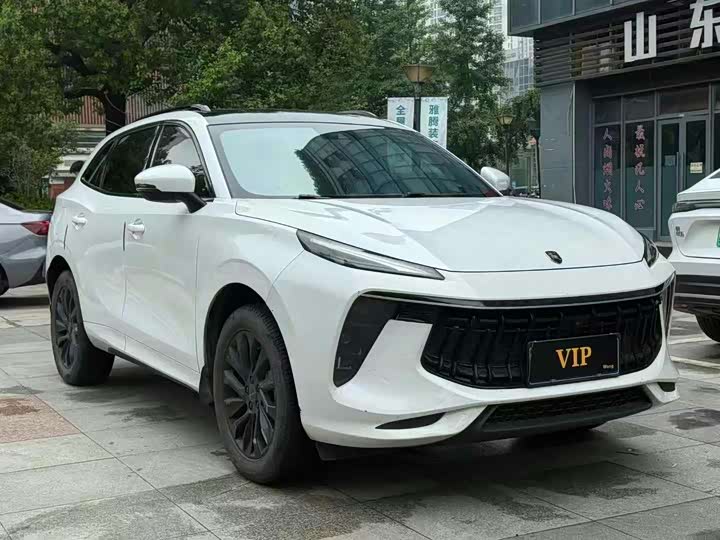 Dongfeng Forthing T5 2021 2021款 1.5T 自动豪华型