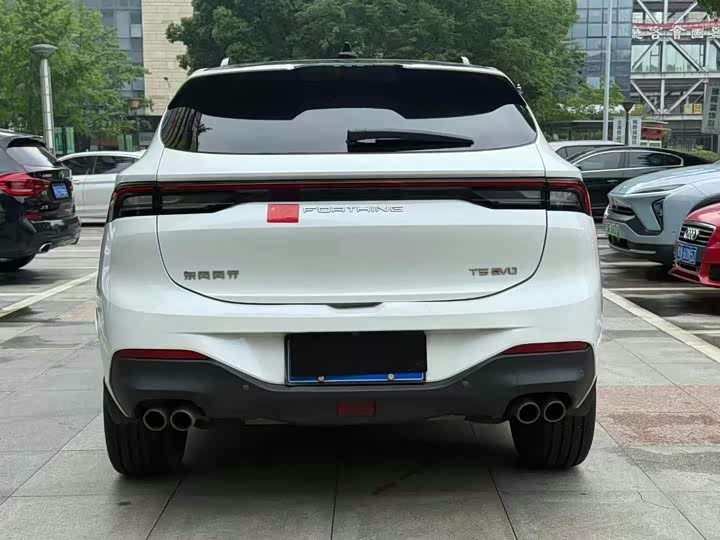 Dongfeng Forthing T5 2021 2021款 1.5T 自动豪华型