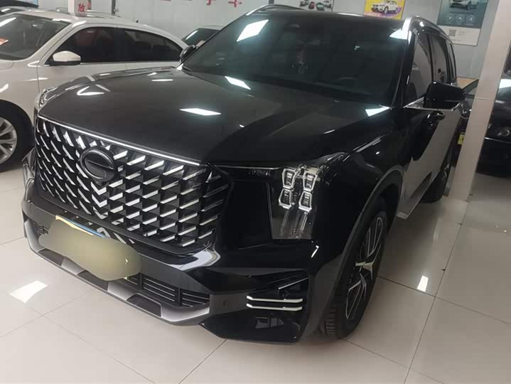 GAC Trumpchi GS8 2024 2024款 领航系列 2.0TGDI 两驱豪华智联版