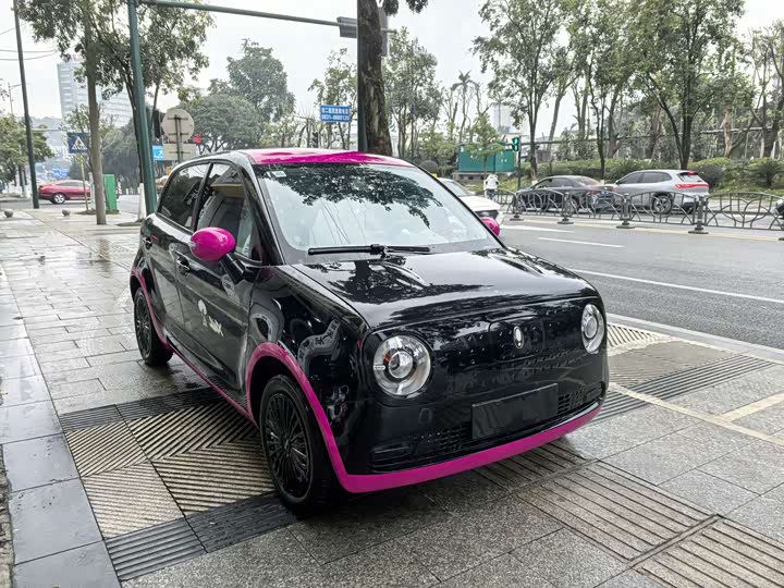 Ora Black Cat 2022 2022款 301km 萌宠版 磷酸铁锂