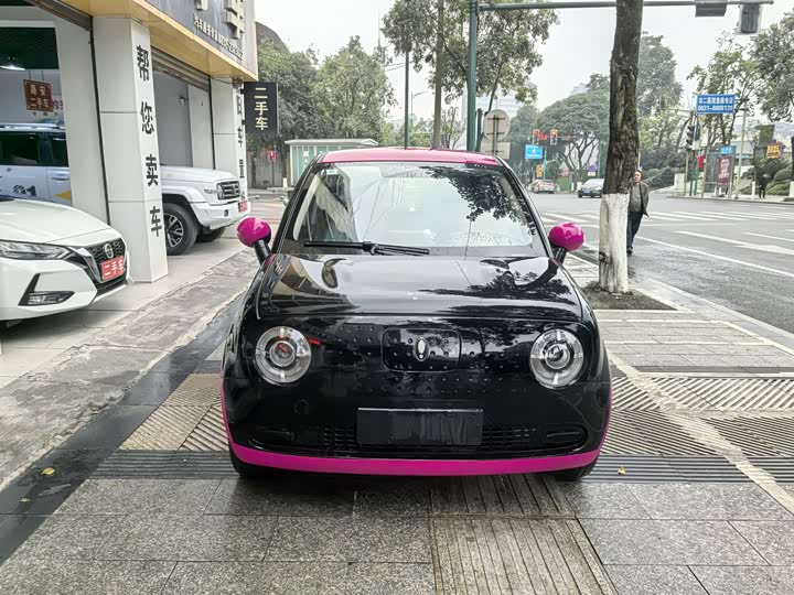 Ora Black Cat 2022 2022款 301km 萌宠版 磷酸铁锂