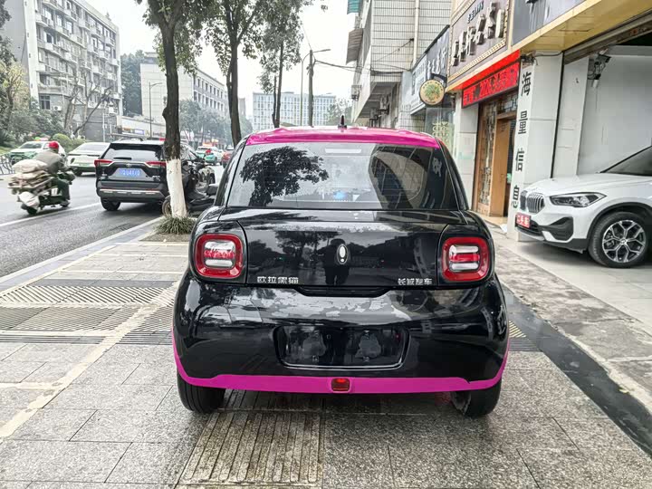 Ora Black Cat 2022 2022款 301km 萌宠版 磷酸铁锂