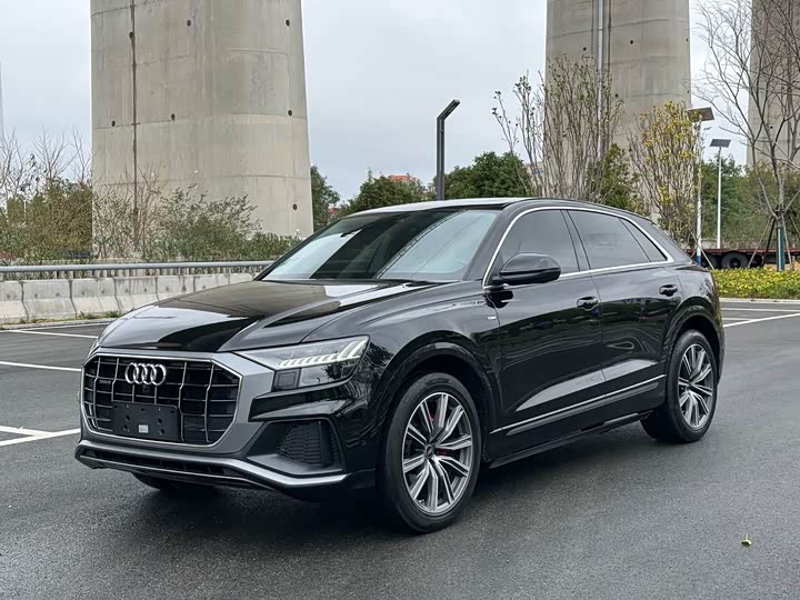 Audi Q8 2022 2022款 45 TFSI 臻选动感型
