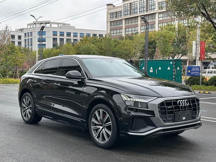 Audi Q8 2022 2022款 45 TFSI 臻选动感型