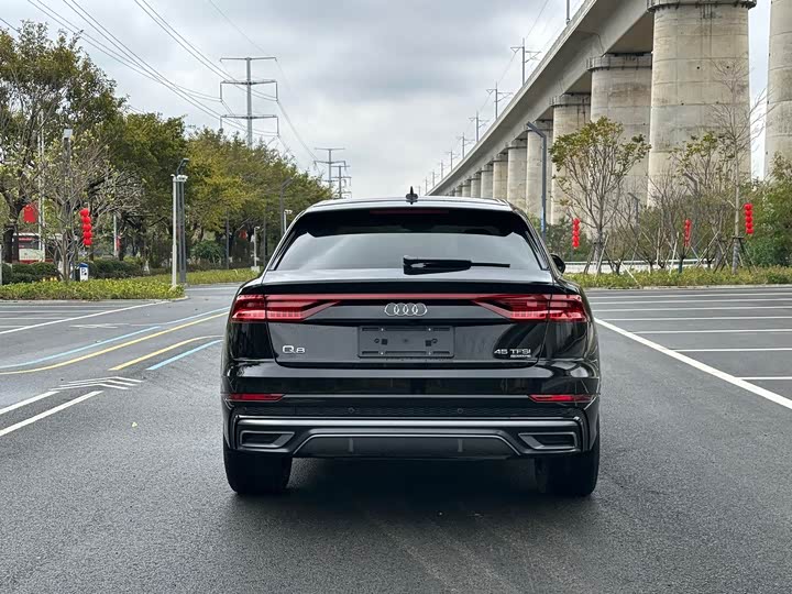 Audi Q8 2022 2022款 45 TFSI 臻选动感型