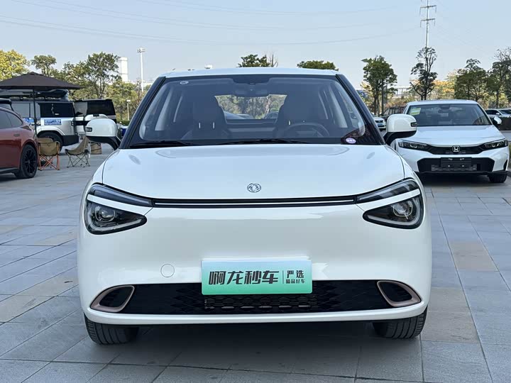 Dongfeng Nammi 01 2024 2024款 焕新版 330 Air