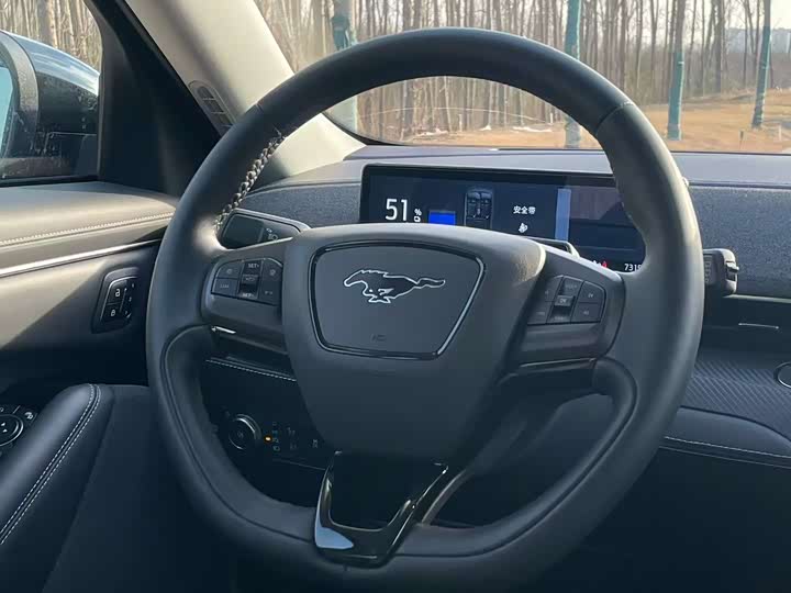 Ford Mustang Mach-E 2021 2021款 无疆后驱豪华版(长续航)